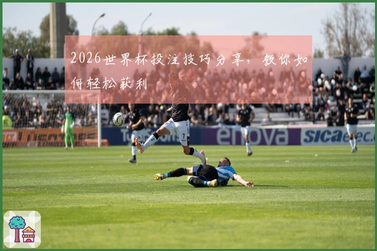 2026世界杯投注技巧分享，教你如何轻松获利