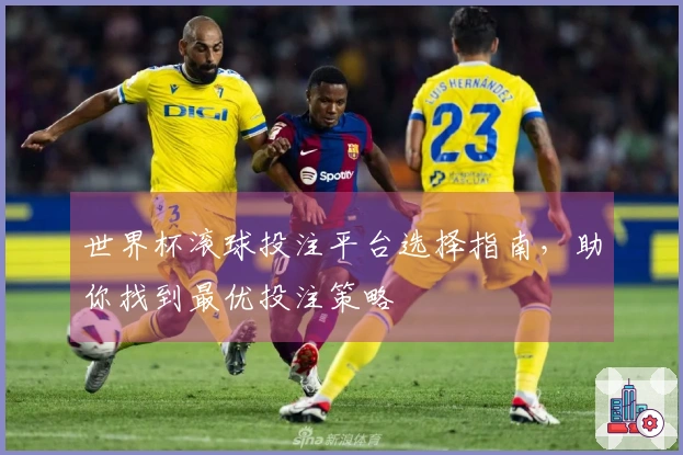 世界杯滚球投注平台选择指南，助你找到最优投注策略