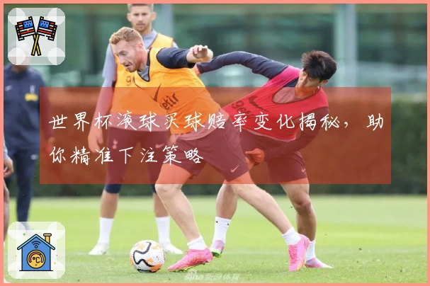 世界杯滚球买球赔率变化揭秘，助你精准下注策略