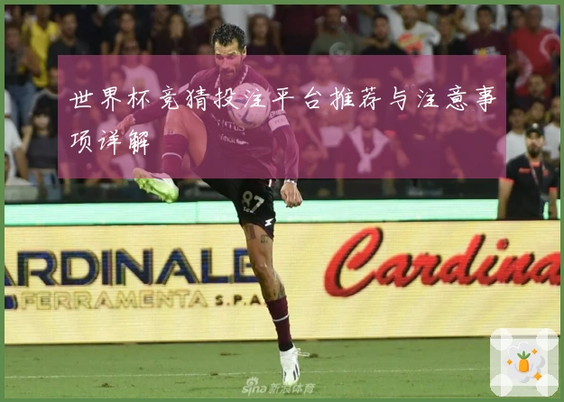 世界杯竞猜投注平台推荐与注意事项详解