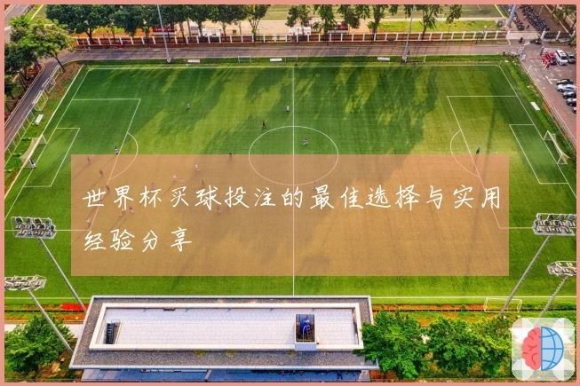 世界杯买球投注的最佳选择与实用经验分享
